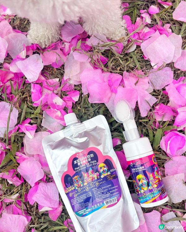 🐾 污糟糟小狗必備 腳仔SPA泡泡 清潔滋潤一步搞掂✨