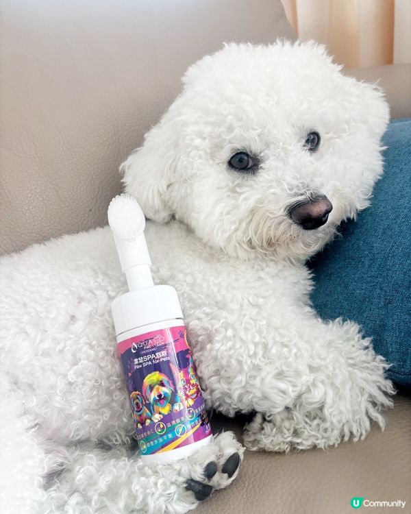 🐾 污糟糟小狗必備 腳仔SPA泡泡 清潔滋潤一步搞掂✨