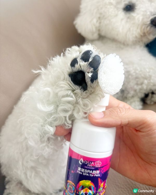 🐾 污糟糟小狗必備 腳仔SPA泡泡 清潔滋潤一步搞掂✨