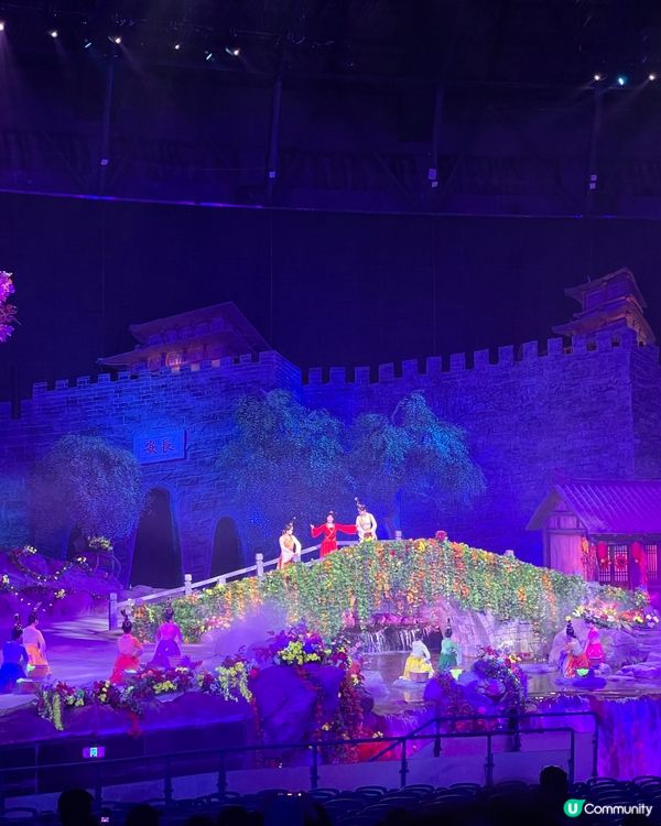 絲路奇景！駝鈴傳奇超震撼！🤩