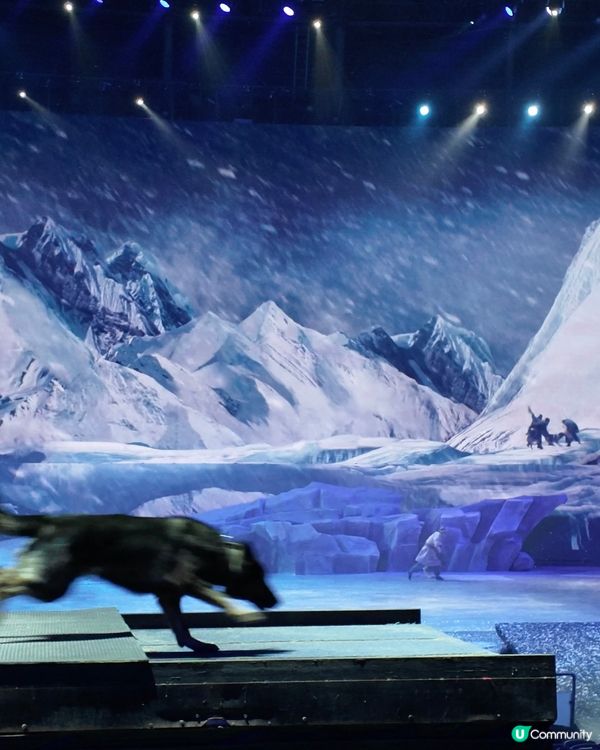 絲路奇景！駝鈴傳奇超震撼！🤩