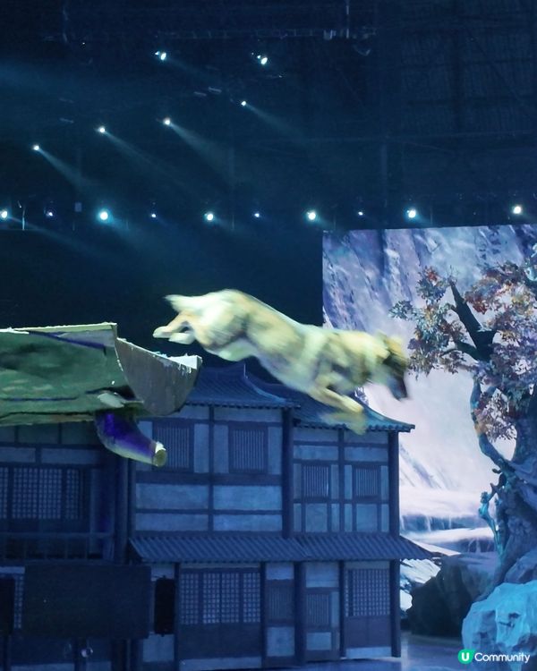 絲路奇景！駝鈴傳奇超震撼！🤩