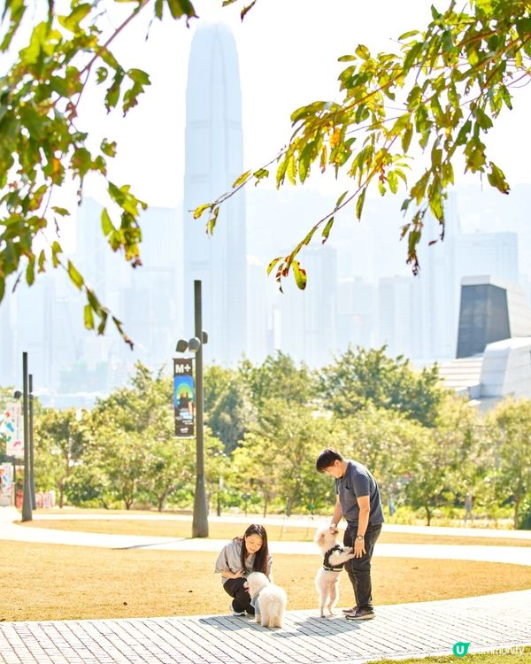 西九打卡！🐶 狗狗放電好地方