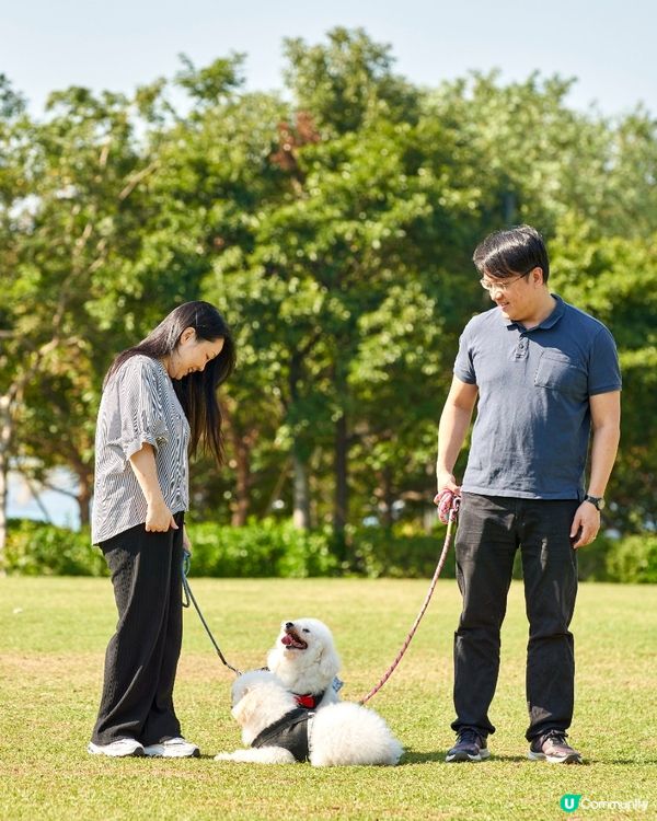 西九打卡！🐶 狗狗放電好地方