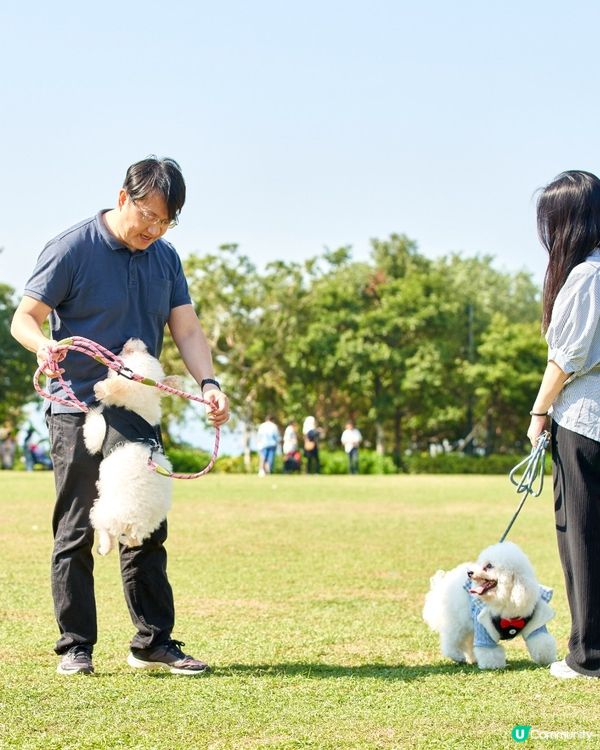 西九打卡！🐶 狗狗放電好地方