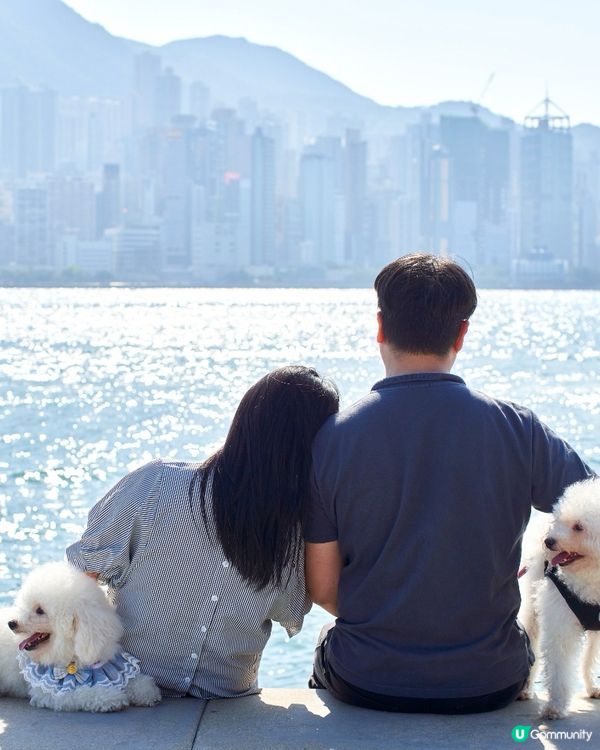 西九打卡！🐶 狗狗放電好地方