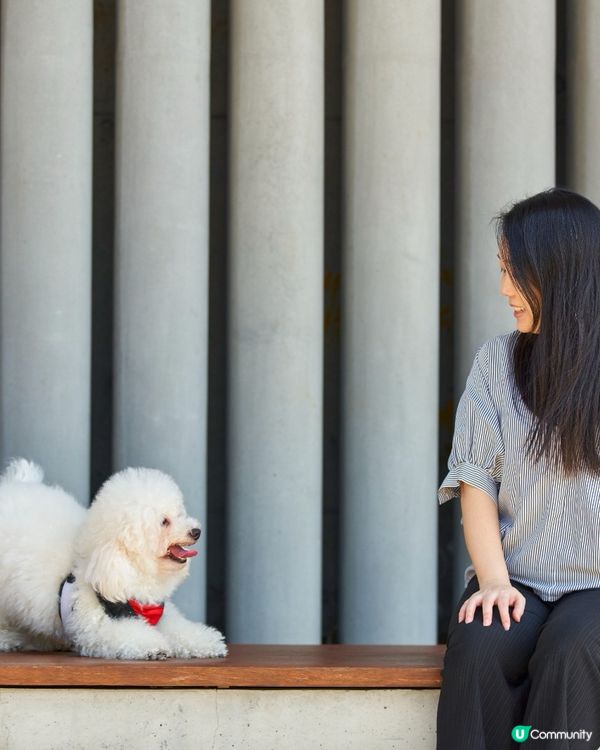 西九打卡！🐶 狗狗放電好地方