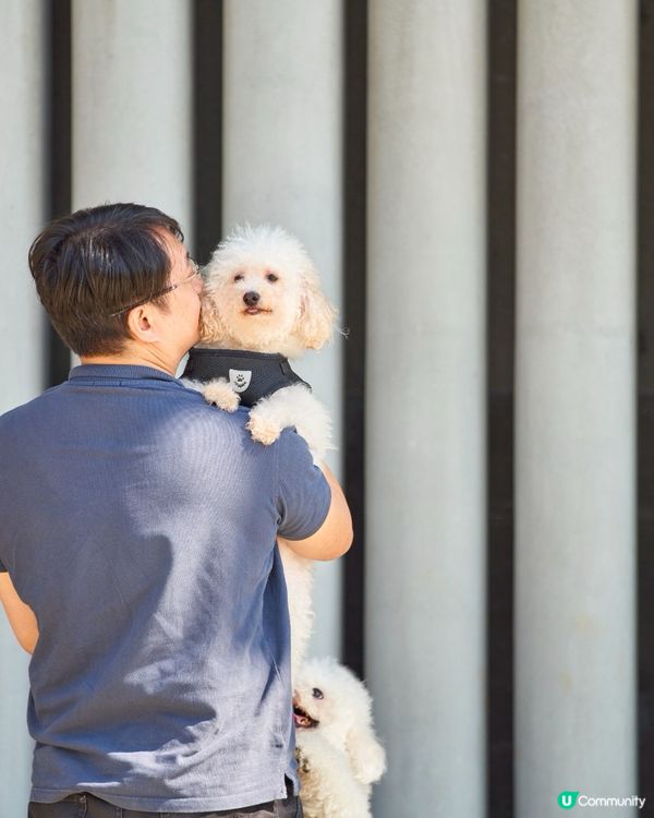 西九打卡！🐶 狗狗放電好地方