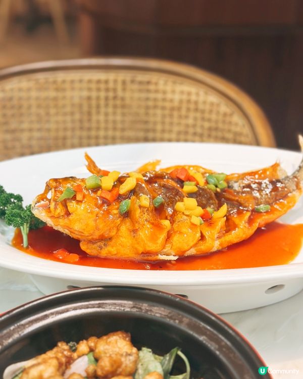 荷里活廣場莆田🤤 $298食到兩味！