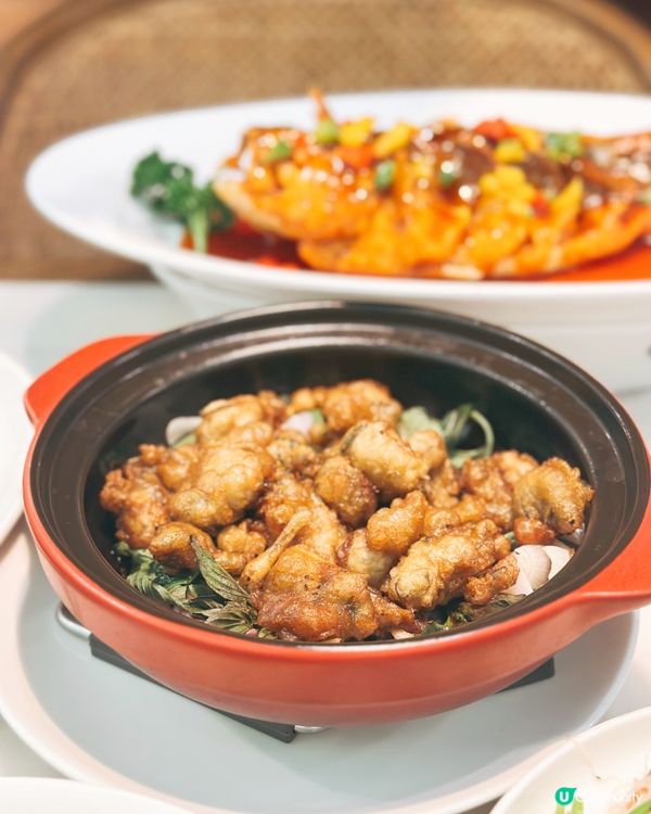 荷里活廣場莆田🤤 $298食到兩味！