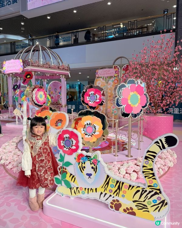 荷里活廣場花花世界🌸行大運！