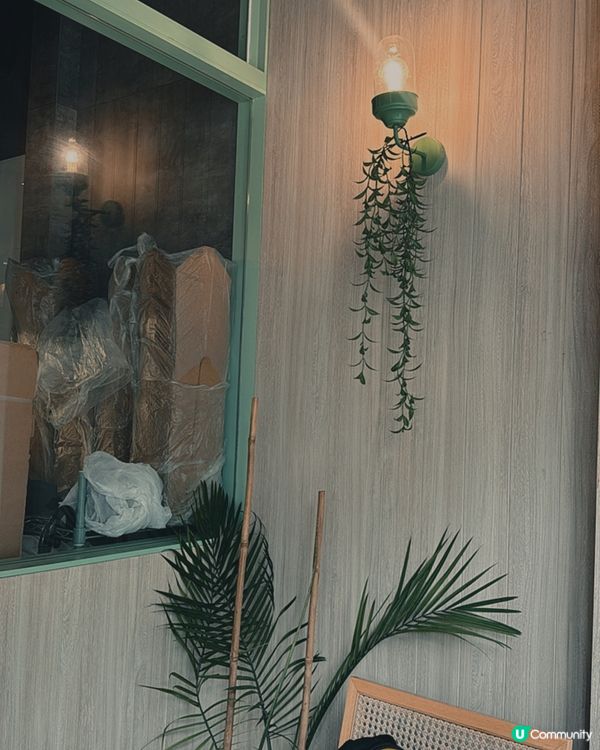 想同貓貓一齊去Cafe chill吓 一定要去阿貴cafe