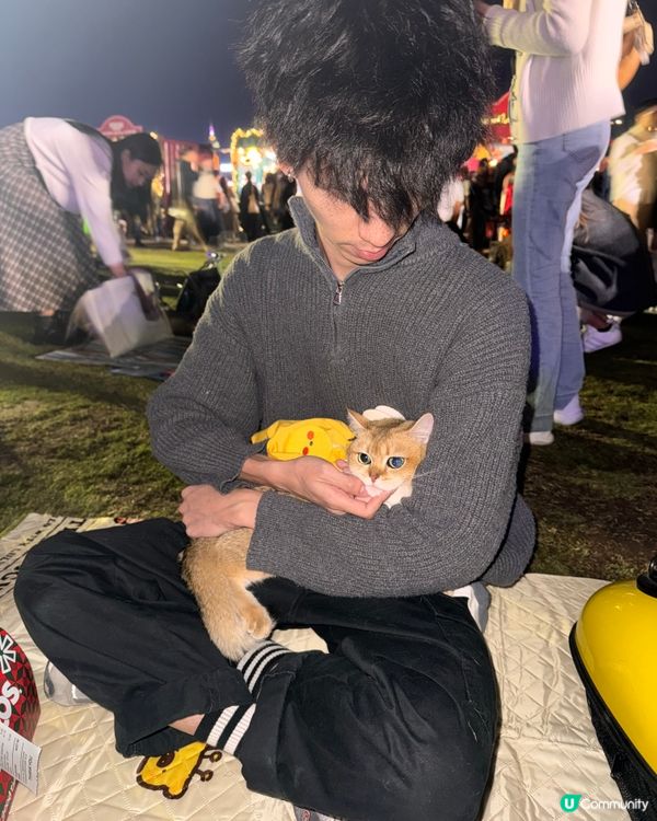 草地野餐初體驗！貓貓好Chill ☀️🌳