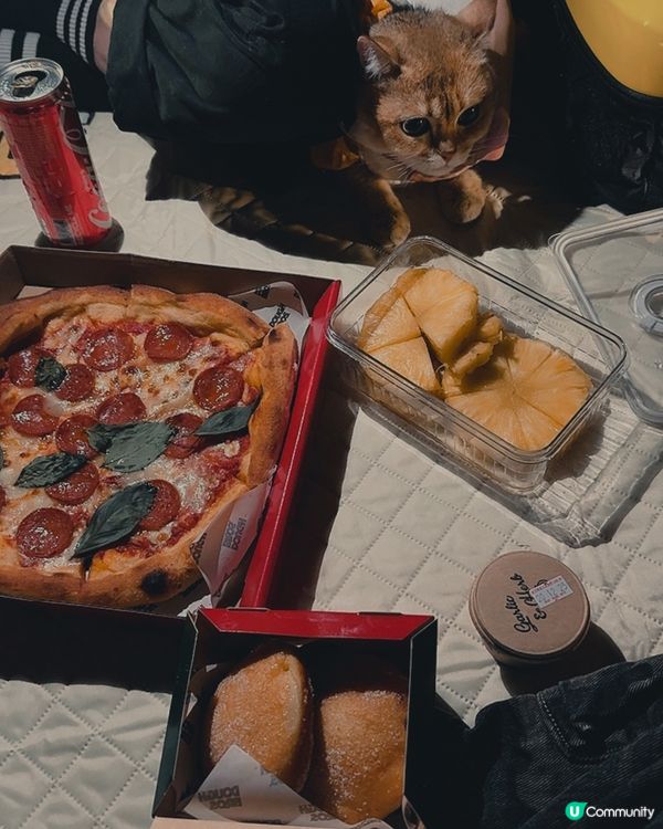 草地野餐初體驗！貓貓好Chill ☀️🌳