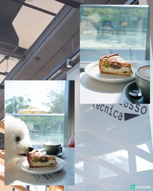 港島西陽光暖笠笠☀️ 咖啡店新發現☕️