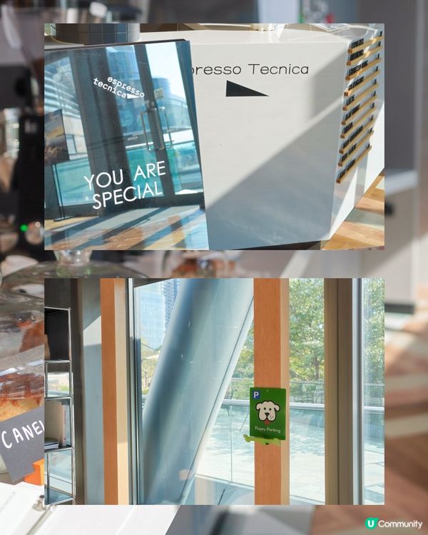港島西陽光暖笠笠☀️ 咖啡店新發現☕️