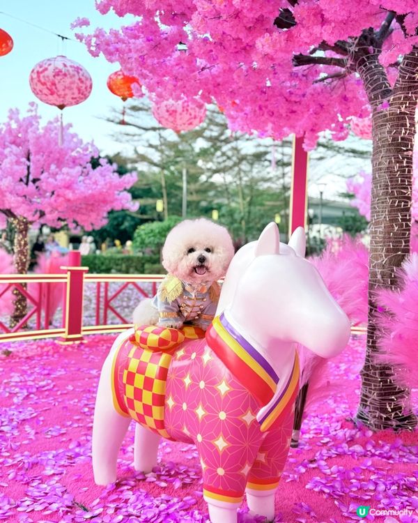 北角匯「花見春之園」🌸