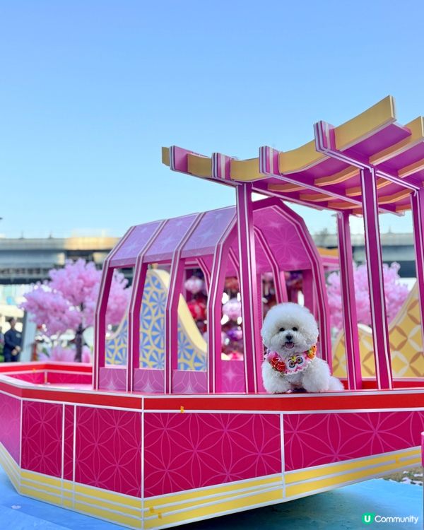 北角匯「花見春之園」🌸