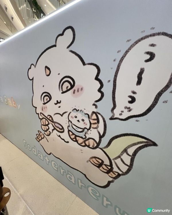 💙🤍💛Chiikawa Baby 香港期間限定店🍼🍼🍼