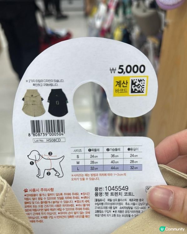 平價韓寵衫！主子靚靚唔肉赤！🐱💗