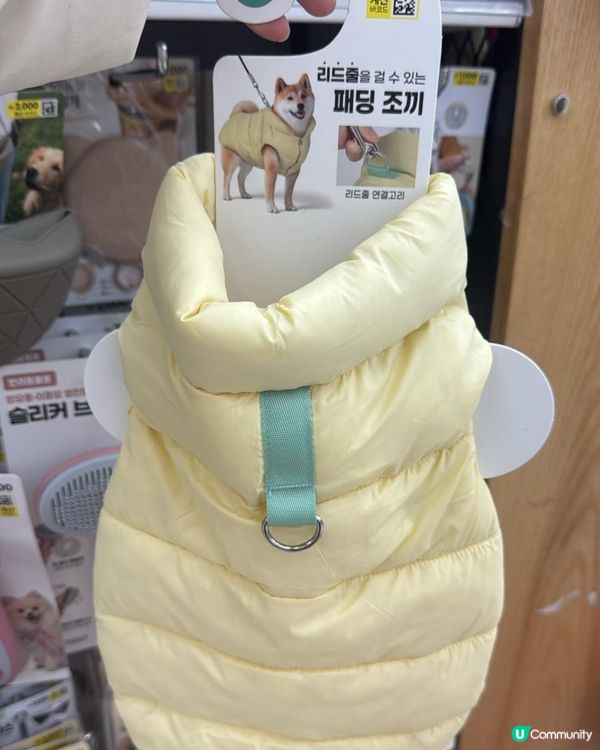 平價韓寵衫！主子靚靚唔肉赤！🐱💗