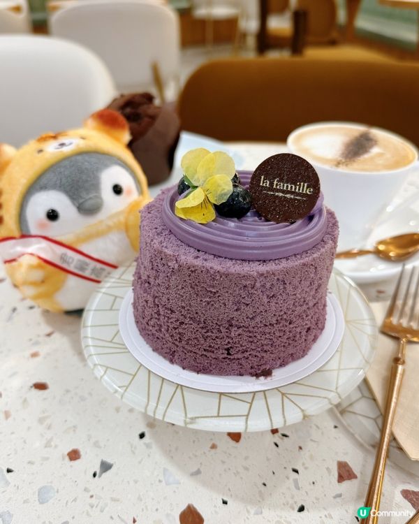 戚風變輕食！海港城新店驚喜！🍰🥗