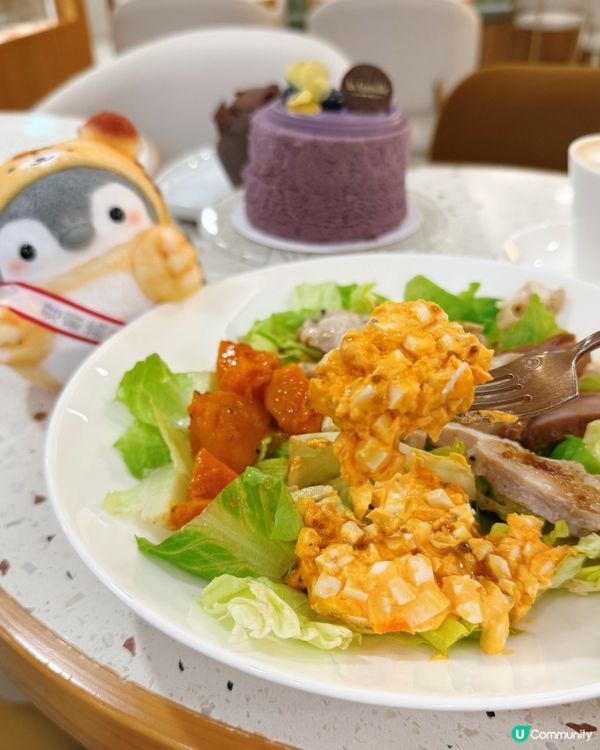 戚風變輕食！海港城新店驚喜！🍰🥗