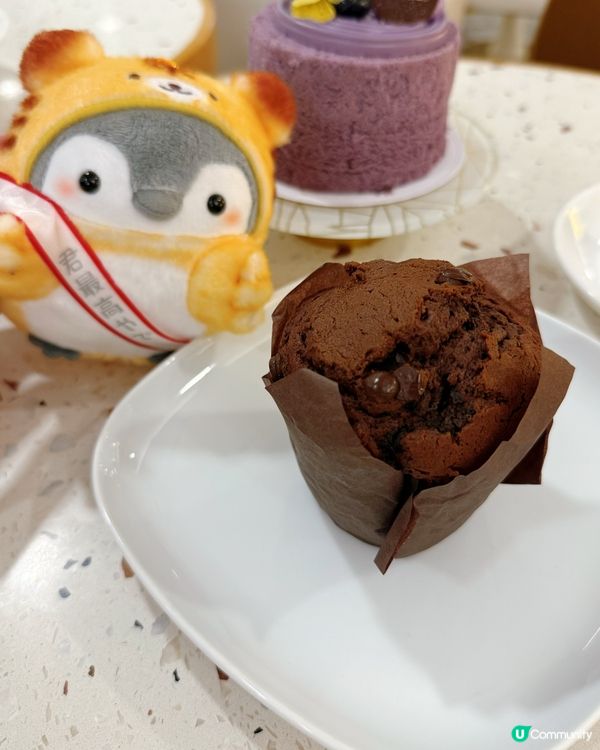 戚風變輕食！海港城新店驚喜！🍰🥗