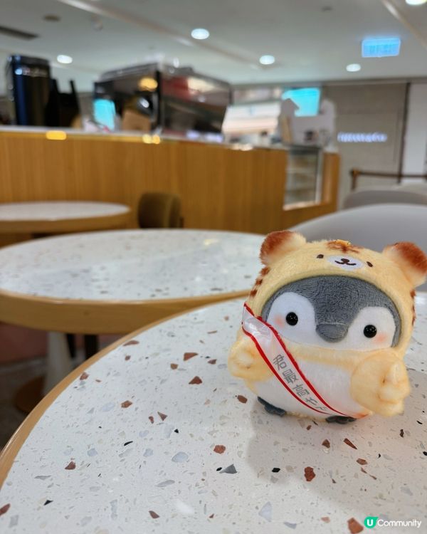 戚風變輕食！海港城新店驚喜！🍰🥗