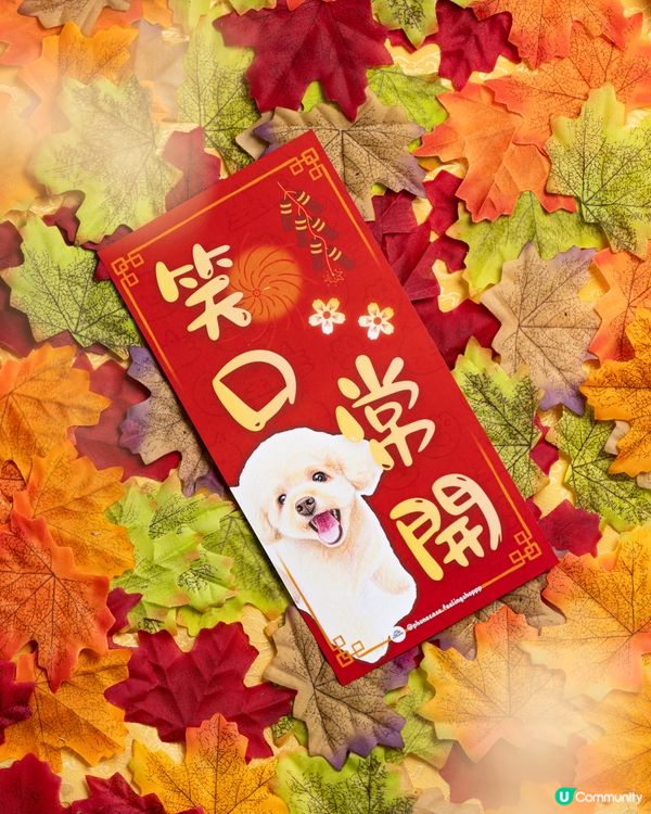 貴婦狗保佑你既馬年‼️
