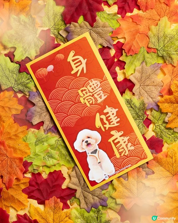 貴婦狗保佑你既馬年‼️
