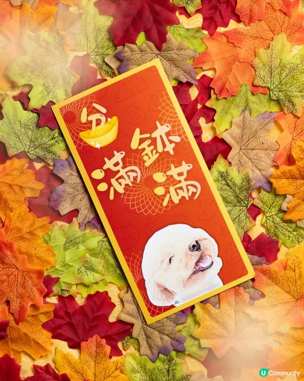 貴婦狗保佑你既馬年‼️