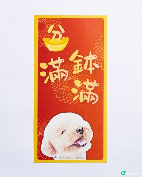 貴婦狗保佑你既馬年‼️
