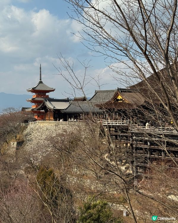 京都寺廟遊🇯🇵
