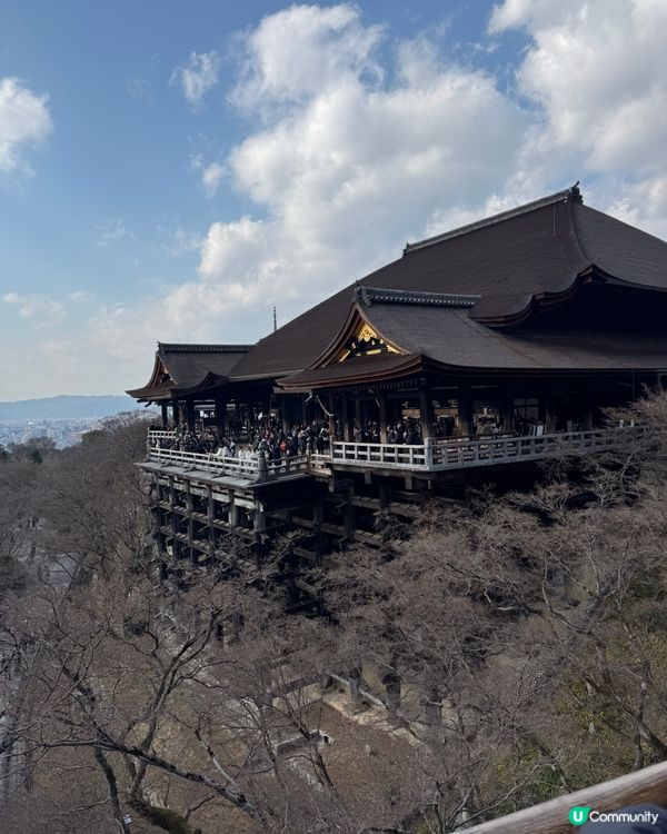 京都寺廟遊🇯🇵
