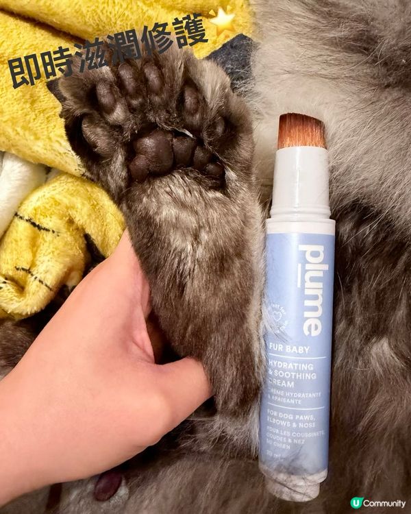 人類要保濕，貓狗肉球都要？！🐾🧴