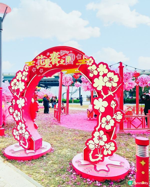 🩷粉紅色的馬年🩷北角匯花見春之園🌸打卡必去！