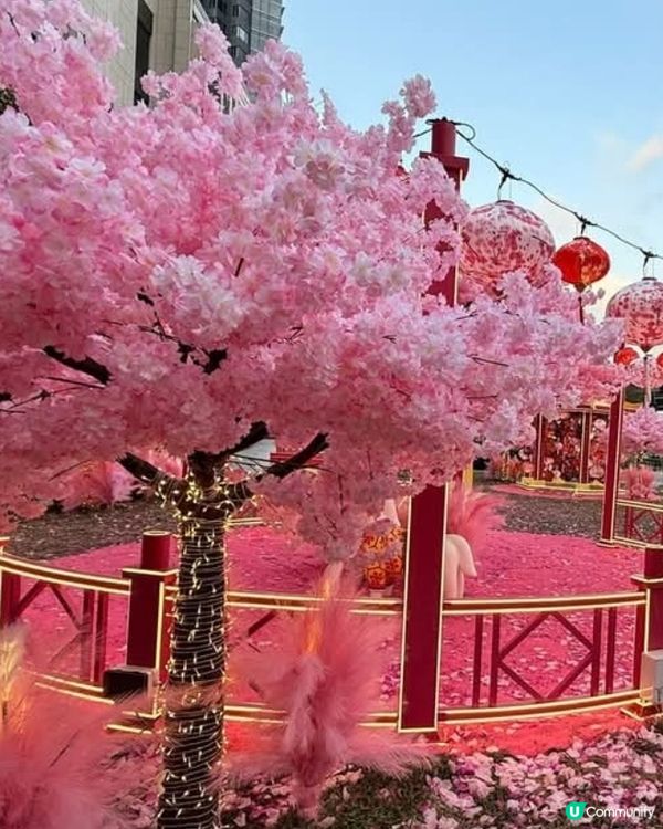 🩷粉紅色的馬年🩷北角匯花見春之園🌸打卡必去！