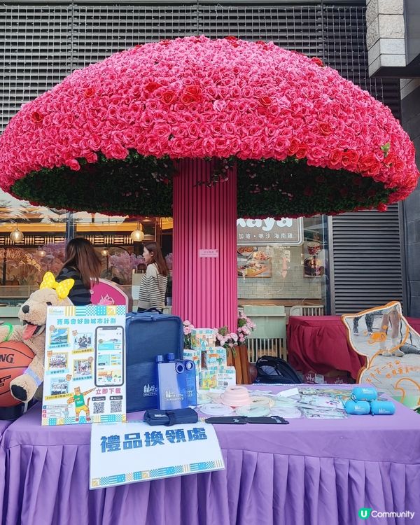 🩷粉紅色的馬年🩷北角匯花見春之園🌸打卡必去！