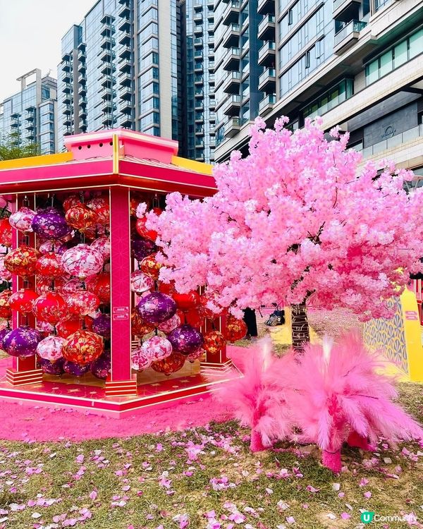 🩷粉紅色的馬年🩷北角匯花見春之園🌸打卡必去！