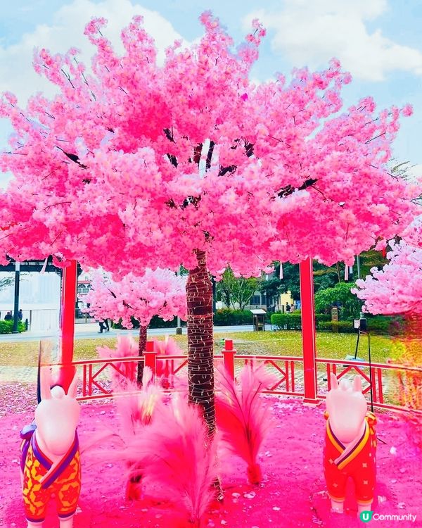 🩷粉紅色的馬年🩷北角匯花見春之園🌸打卡必去！