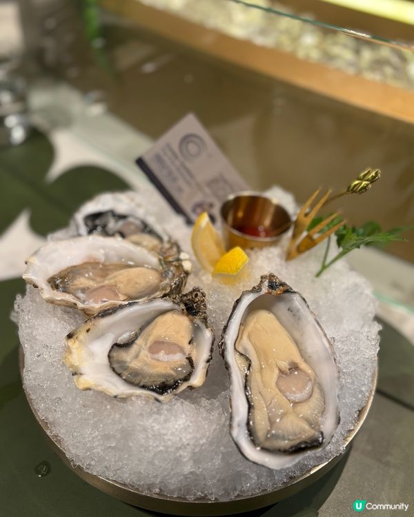 🦪🦪希慎蠔吧🤤 必食推介！