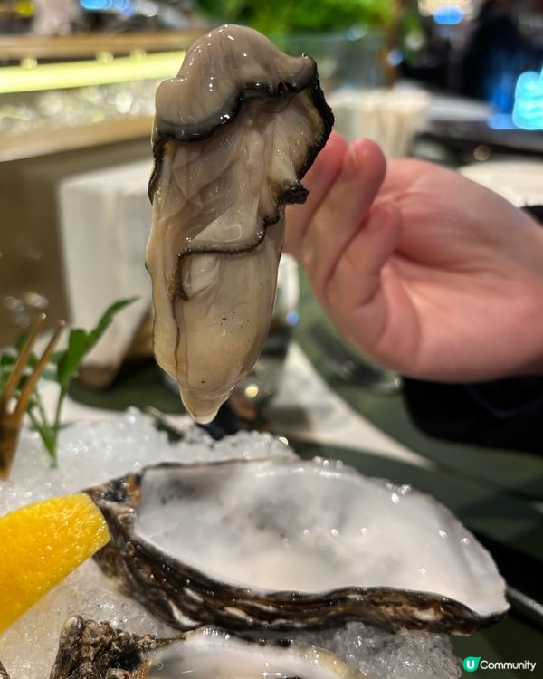 🦪🦪希慎蠔吧🤤 必食推介！