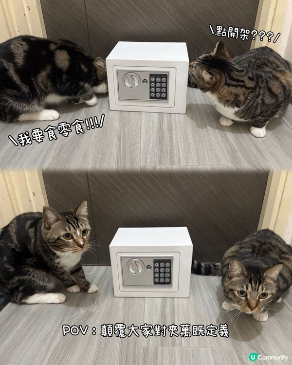 貓零食夾萬🔒🐱