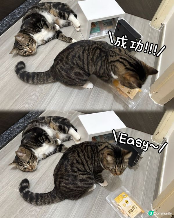 貓零食夾萬🔒🐱