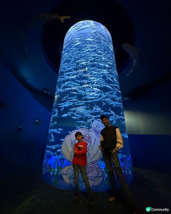 生日海洋公園指定動作！👨‍👩‍👧‍👦🎉