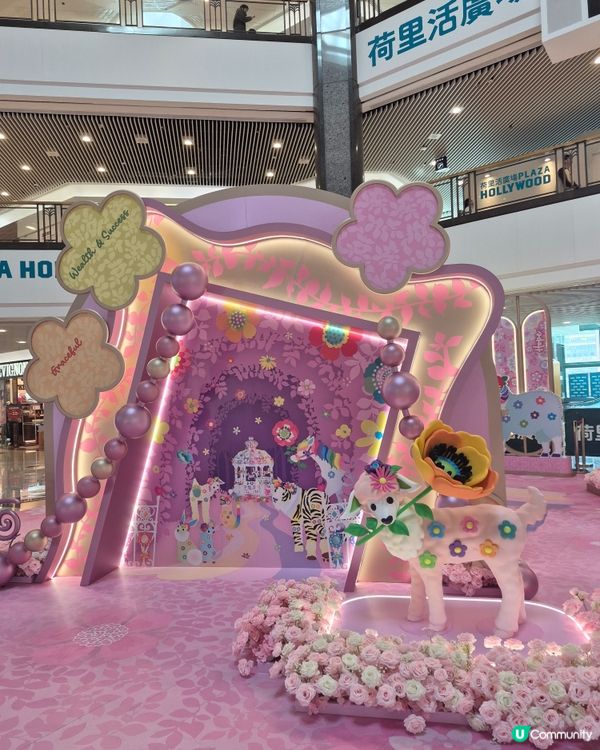 荷里活廣場 - Yr of Blossom 🌸 2026