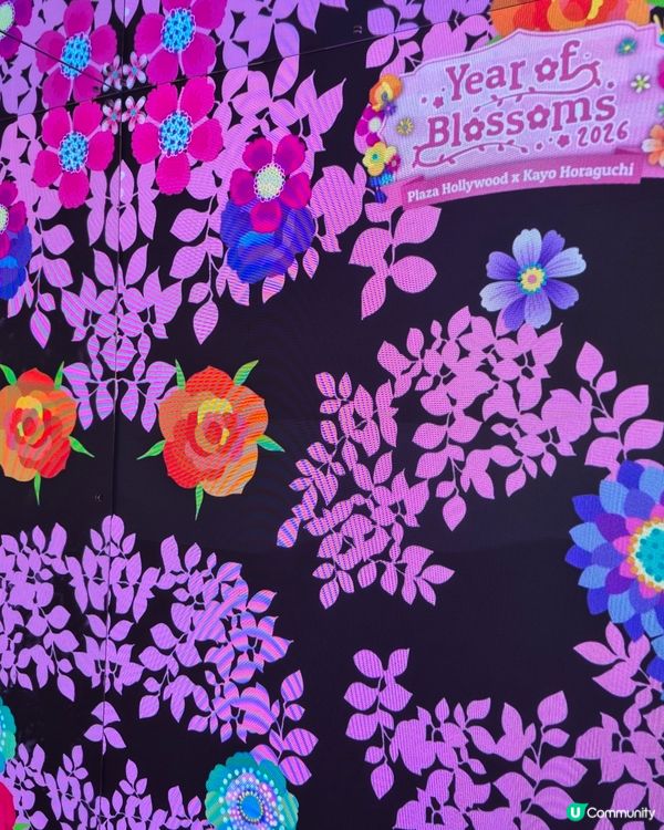 荷里活廣場 - Yr of Blossom 🌸 2026