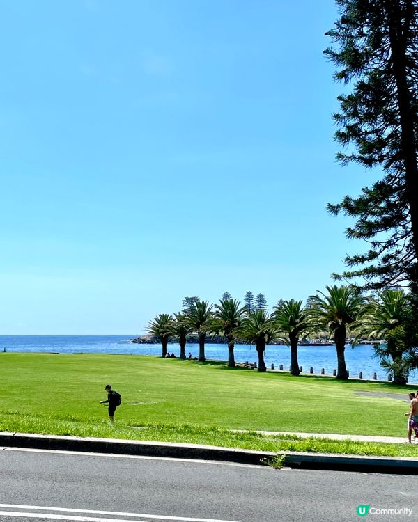 悉尼海邊嘆早午餐☀️🌊