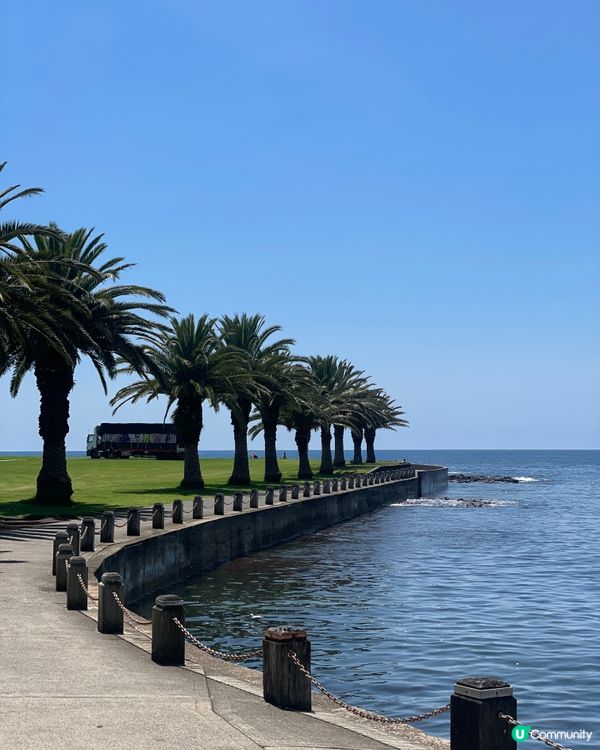 悉尼海邊嘆早午餐☀️🌊